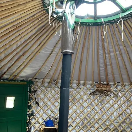 Eisa Yurt * York