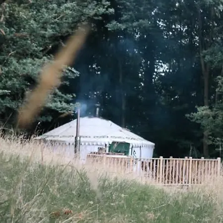 Eisa Yurt * York