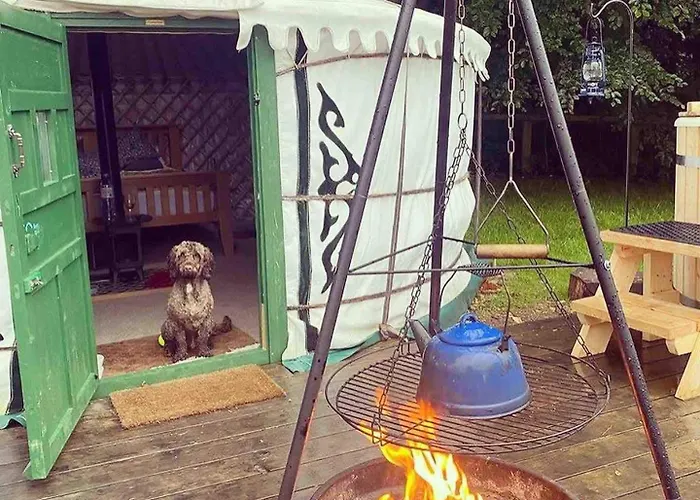 Lyxtält Eisa Yurt York